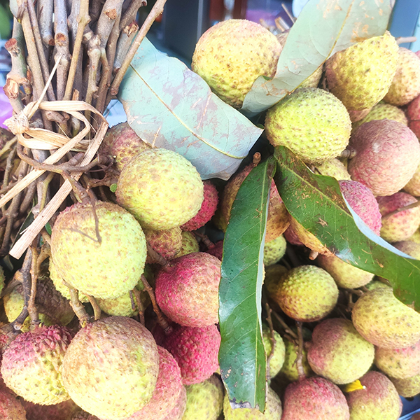 Vải thiều